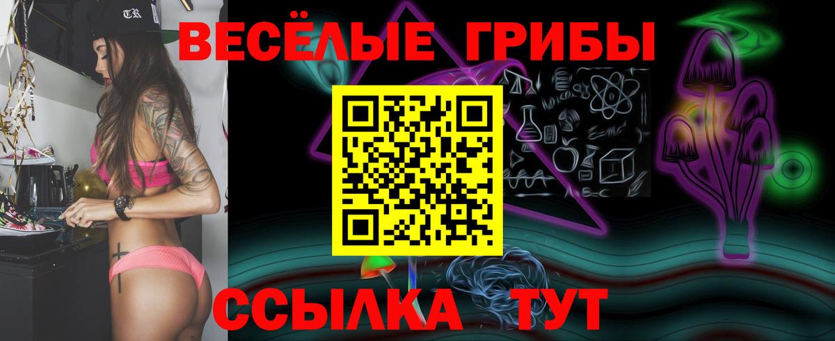 Псилоцибиновые грибы Cubensis Приморско-Ахтарск
